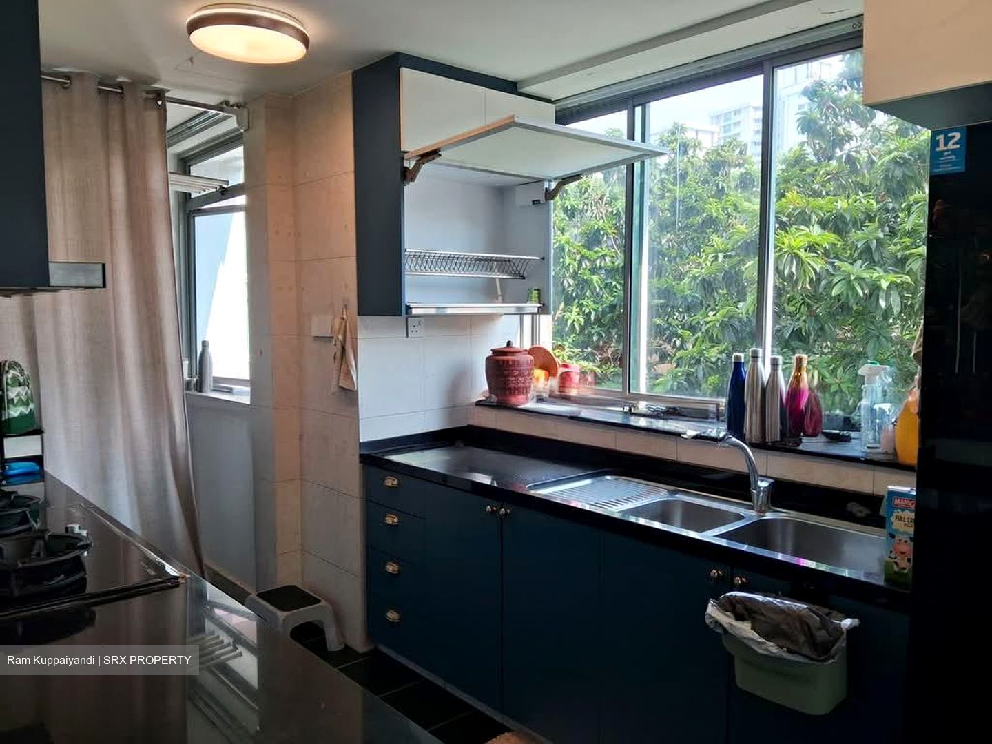Lakeholmz (D22), Condominium #579182491